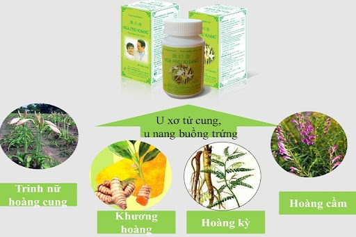 Nga Phụ Khang chứa nhiều thảo dược quý hỗ trợ điều trị u xơ tử cung